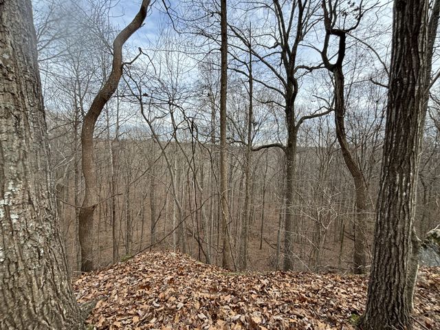 84 Granny Pratt Ln, Belvidere, TN 37306