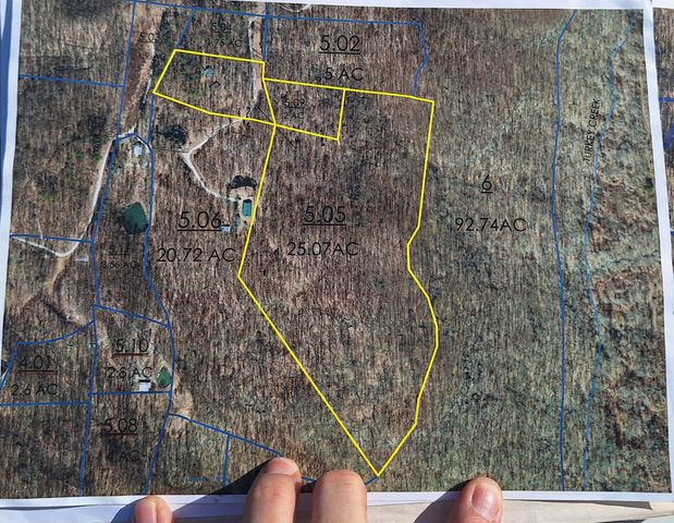 84 Granny Pratt Ln, Belvidere, TN 37306