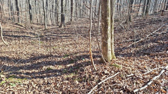 84 Granny Pratt Ln, Belvidere, TN 37306