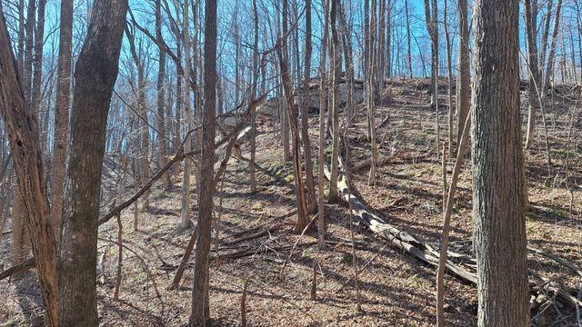 84 Granny Pratt Ln, Belvidere, TN 37306