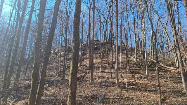 84 Granny Pratt Ln, Belvidere, TN 37306