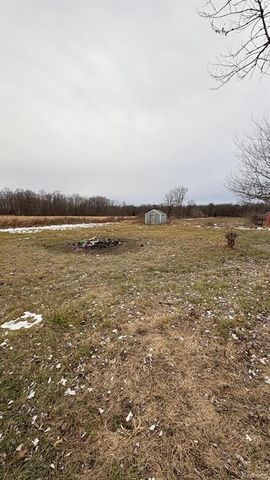 11763 E Cleveland Road, Bannister, MI 48807