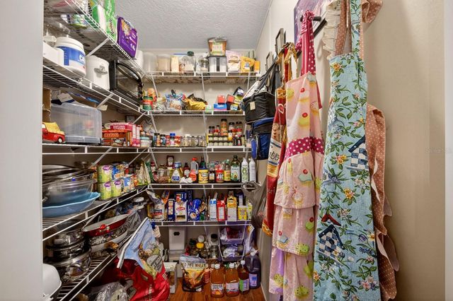 8009 SERGEANT PEPPER DR, Howey In The Hills, FL 34737