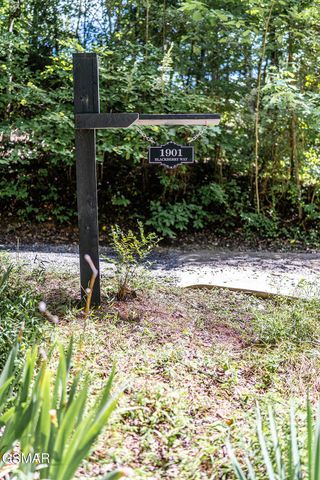 1901 Blackberry Way, Sevierville, TN 37876