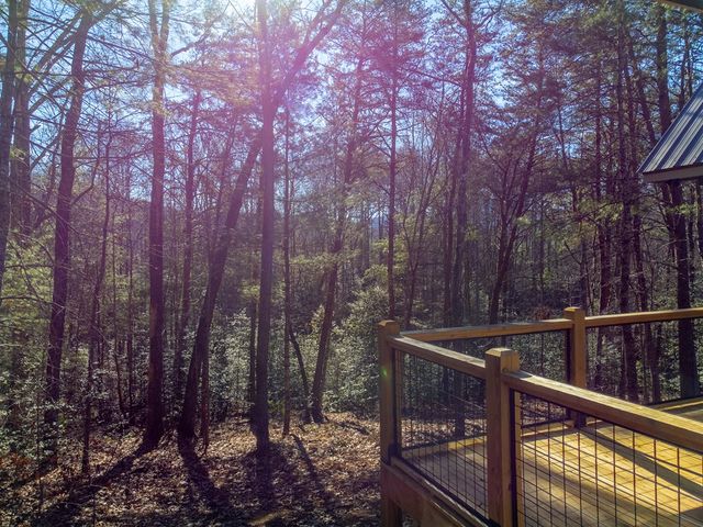 397 Kennelly Loop, Murphy, NC 28906