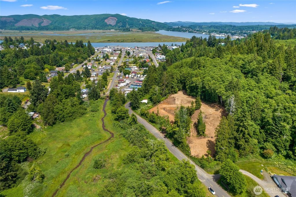 0 X Willapa Avenue, South Bend, WA 98586