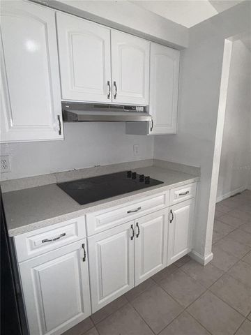 9213 CAMINO VILLA BOULEVARD, Tampa, FL 33635