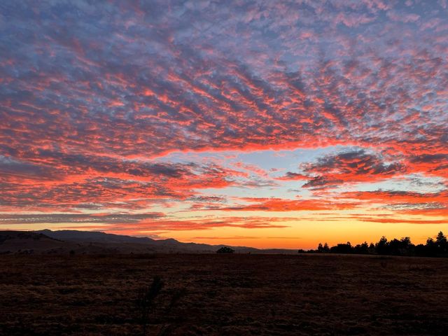 1150 Sonnys Way, Hollister, CA 95023