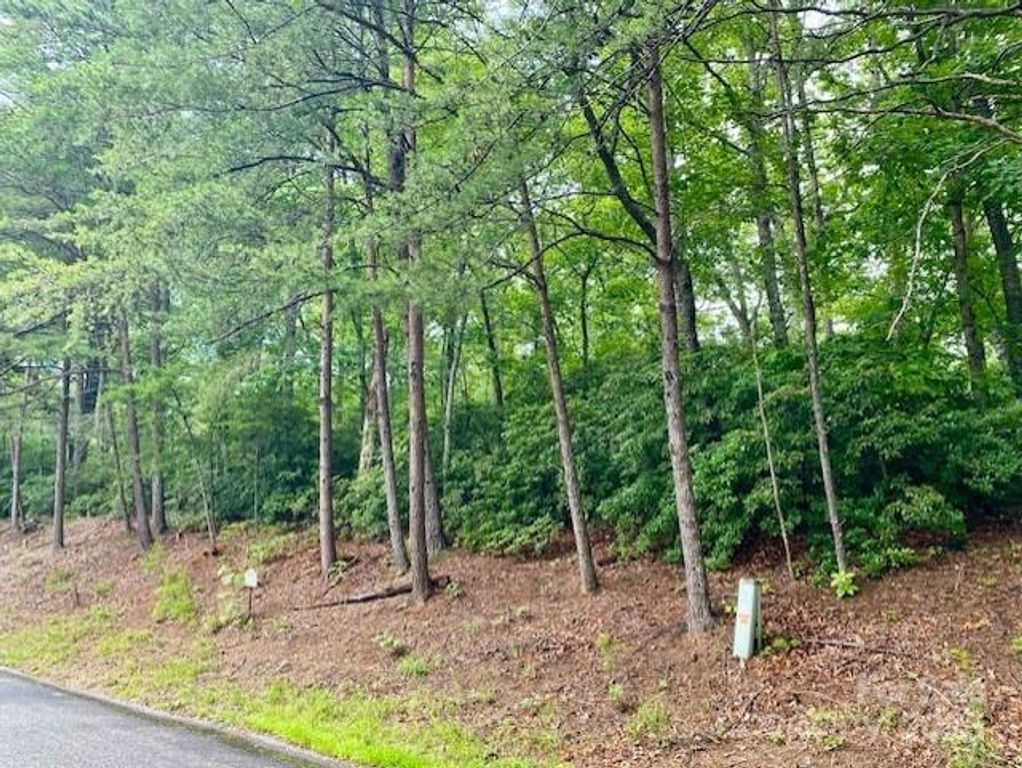 0 Quail Ridge Road 164, Lake Lure, NC 28746