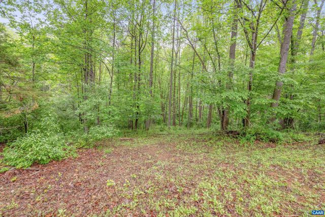 1621 SHADY GROVE CT, Charlottesville, VA 22902