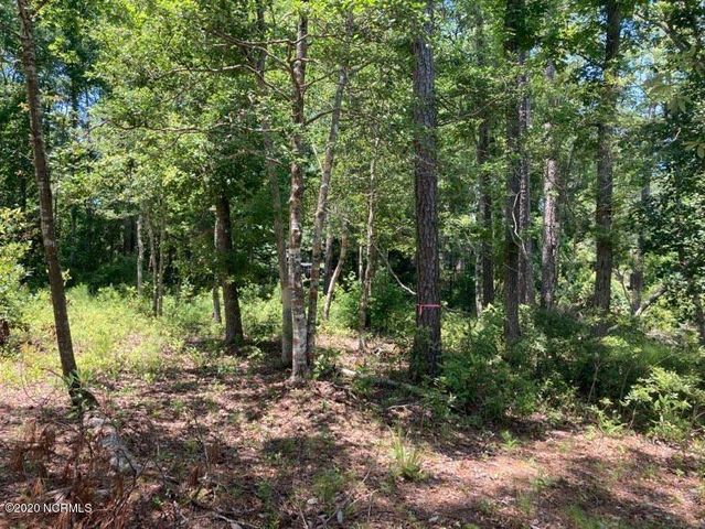 76 Hughes Road, Hampstead, NC 28443