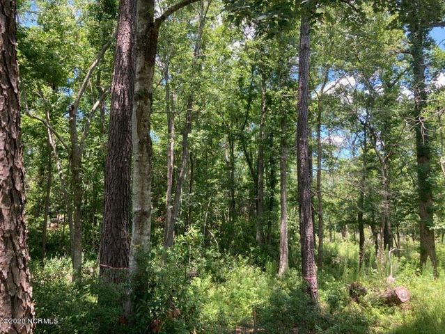 76 Hughes Road, Hampstead, NC 28443