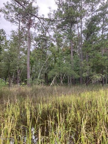 76 Hughes Road, Hampstead, NC 28443