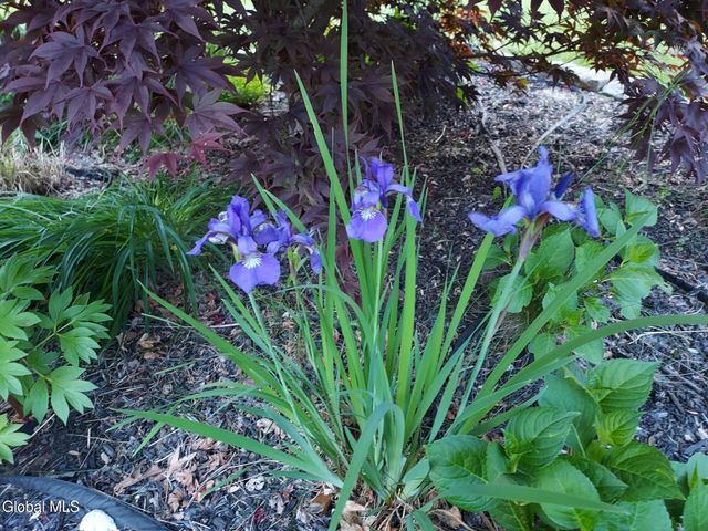 19 St Joseph Street, Colonie, NY 12303