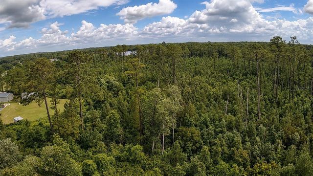 11005 SE 165TH TERRACE ROAD, Ocklawaha, FL 32179