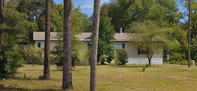 11005 SE 165TH TERRACE ROAD, Ocklawaha, FL 32179