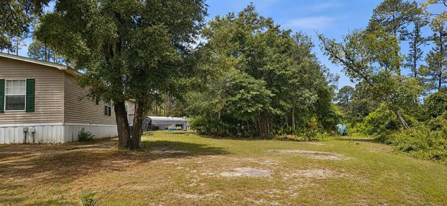11005 SE 165TH TERRACE ROAD, Ocklawaha, FL 32179