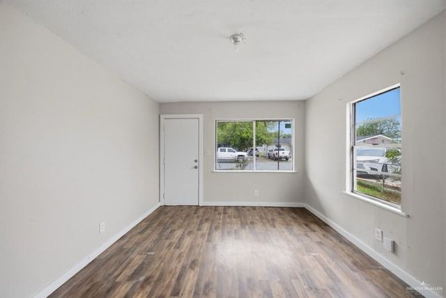 1239 W Ivy Avenue, Alamo, TX 78516