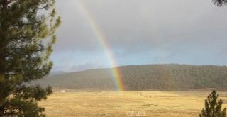 2809 Cedar, Big Bear City, CA 92314