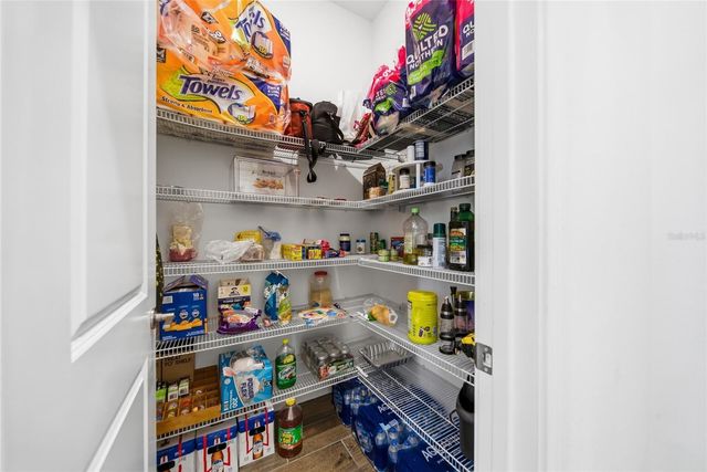 21676 SNOWY ORCHID TERRACE, Land O Lakes, FL 34637