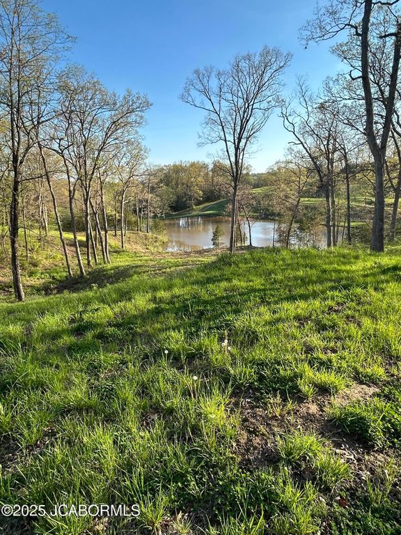 LOT 7 BIRDIE HILL ROAD, Holts Summit, MO 65043