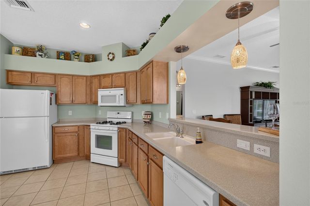 2416 BAR HARBOR, Mount Dora, FL 32757
