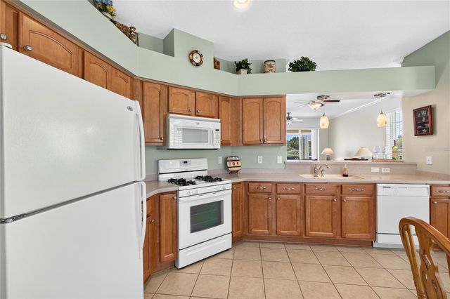 2416 BAR HARBOR, Mount Dora, FL 32757