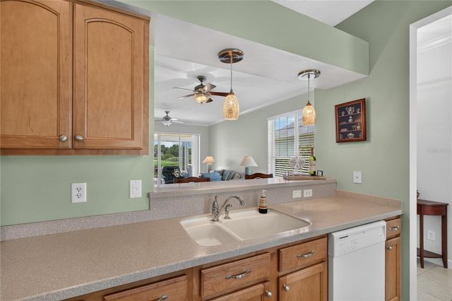 2416 BAR HARBOR, Mount Dora, FL 32757
