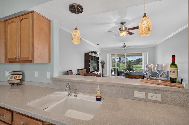2416 BAR HARBOR, Mount Dora, FL 32757