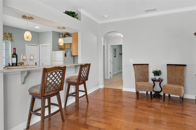 2416 BAR HARBOR, Mount Dora, FL 32757