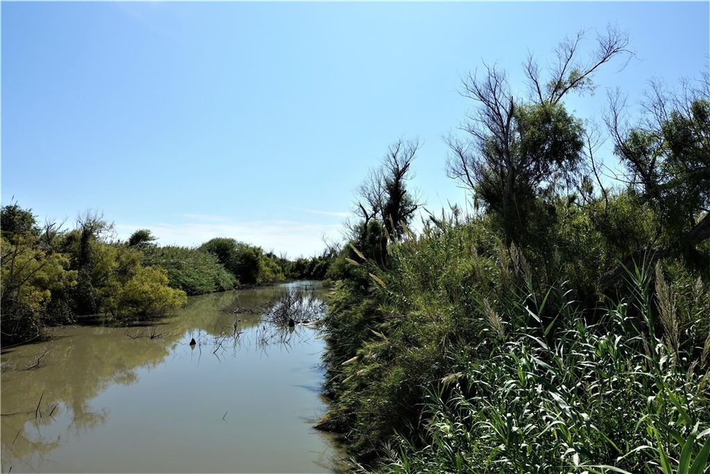 0000 County Rd 2004, Taft, TX 78390 — photo 5