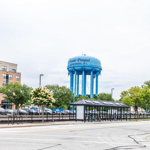212 S Hi Lusi Avenue, Mount Prospect, IL 60056