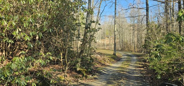 248 Lower Smithfield Road, Tellico Plains, TN 37385