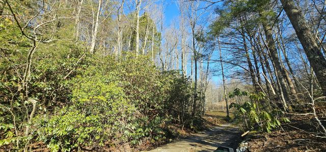248 Lower Smithfield Road, Tellico Plains, TN 37385