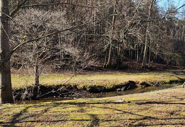 248 Lower Smithfield Road, Tellico Plains, TN 37385