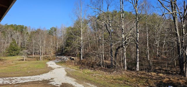 248 Lower Smithfield Road, Tellico Plains, TN 37385