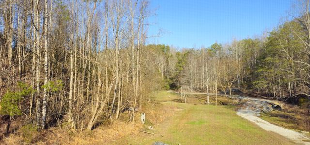 248 Lower Smithfield Road, Tellico Plains, TN 37385