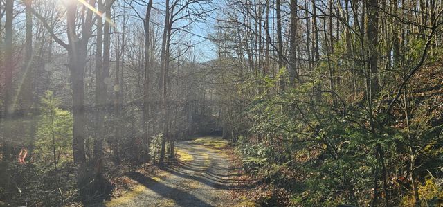 248 Lower Smithfield Road, Tellico Plains, TN 37385