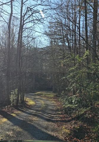 248 Lower Smithfield Road, Tellico Plains, TN 37385