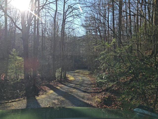 248 Lower Smithfield Road, Tellico Plains, TN 37385