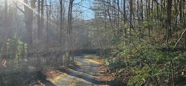 248 Lower Smithfield Road, Tellico Plains, TN 37385