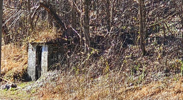 248 Lower Smithfield Road, Tellico Plains, TN 37385