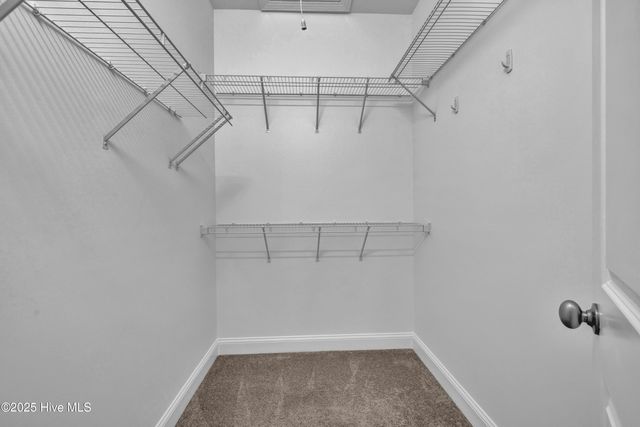 6034 Banded Tulip Drive, Wilmington, NC 28412