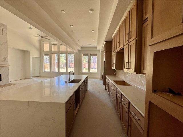 116 Jubilee Meadow Drive, Willis, TX 77318
