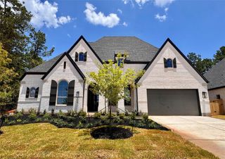 116 Jubilee Meadow Drive, Willis, TX 77318