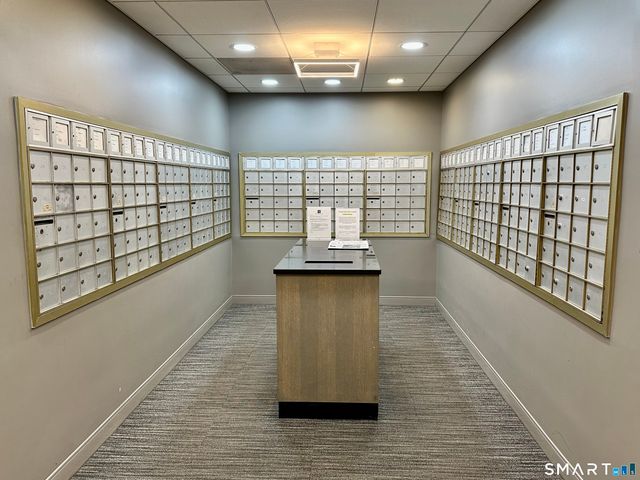 100 York Street 3J, New Haven, CT 06511