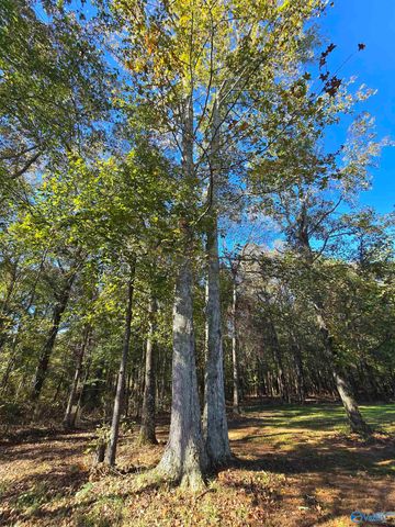 126 Bernices Private Drive, Danville, AL 35640