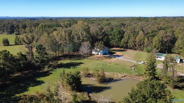 126 Bernices Private Drive, Danville, AL 35640