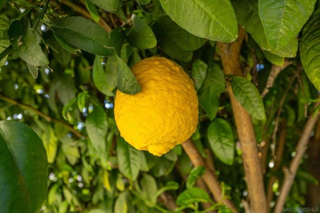 17002 Wing Lane, La Puente, CA 91744