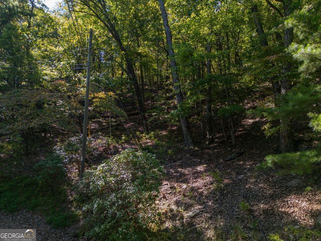 0 Little Hendricks Mountain Road, Jasper, GA 30143